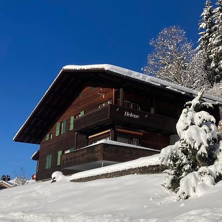 Apartment Helene Apt-Diana By Interhome Wengen Zewnętrze zdjęcie