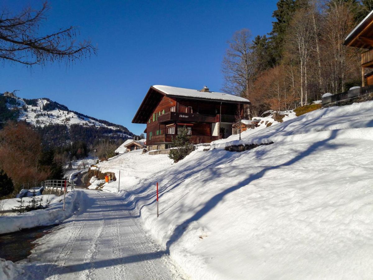 Apartment Helene Apt-Diana By Interhome Wengen Zewnętrze zdjęcie