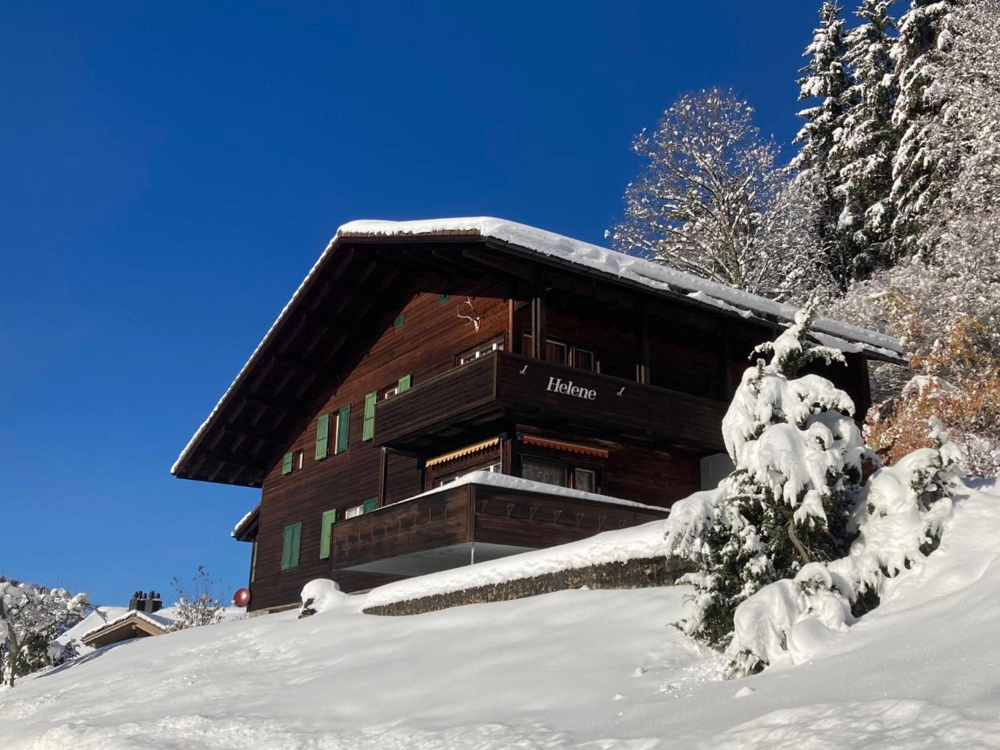 Apartment Helene Apt-Diana By Interhome Wengen Zewnętrze zdjęcie