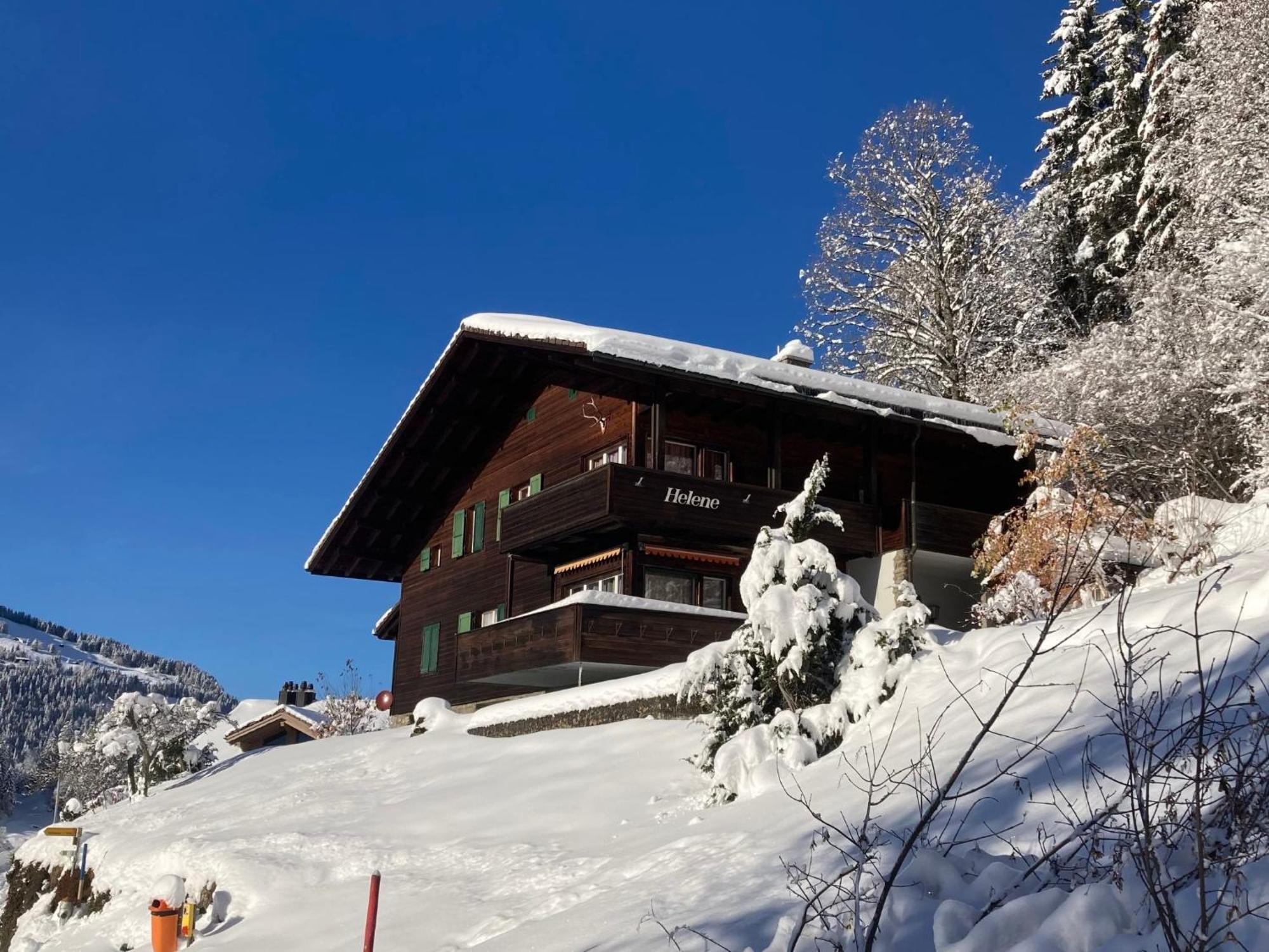 Apartment Helene Apt-Diana By Interhome Wengen Zewnętrze zdjęcie